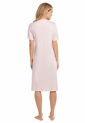  503 rose