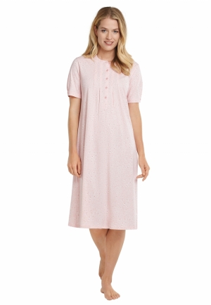  503 rose