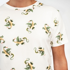 T shirt+short dragon