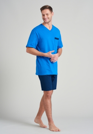  819 royaalblauw