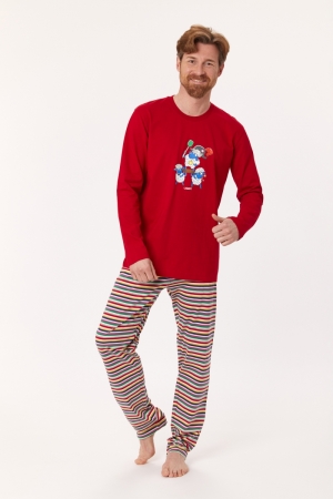 S 485 rood