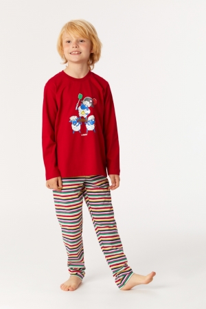 S 485 rood