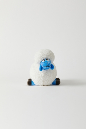 V 020 schaap