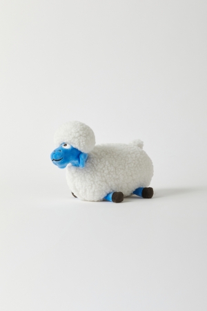 V 020 schaap