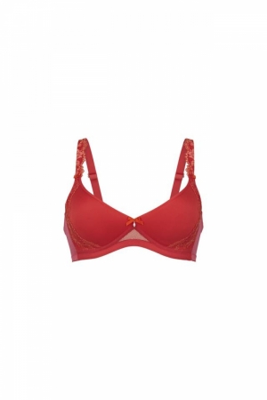 Colette 180 flame
