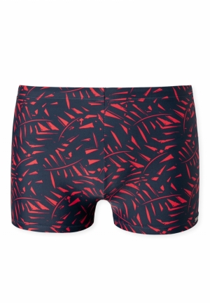  500 rood