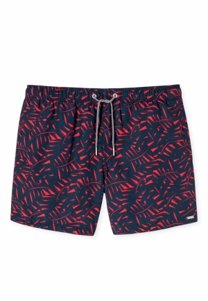  500 rood