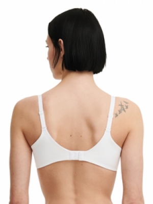 GRAPHIC SUPPORT 010 WIT