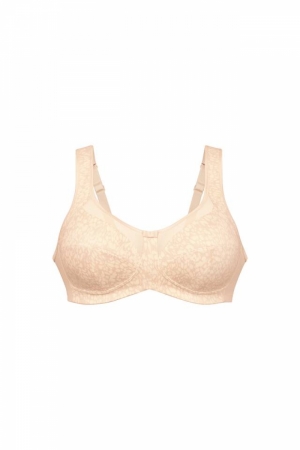 Clara Art 107 smart rose