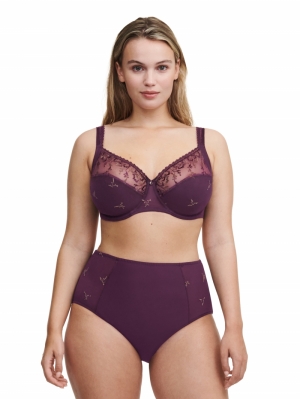 EVERY CURVE 0DM AUBERGINE C