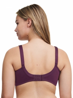 EVERY CURVE 0DM AUBERGINE C