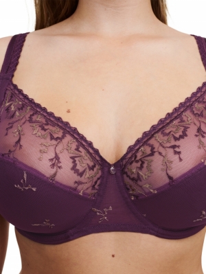 EVERY CURVE 0DM AUBERGINE C